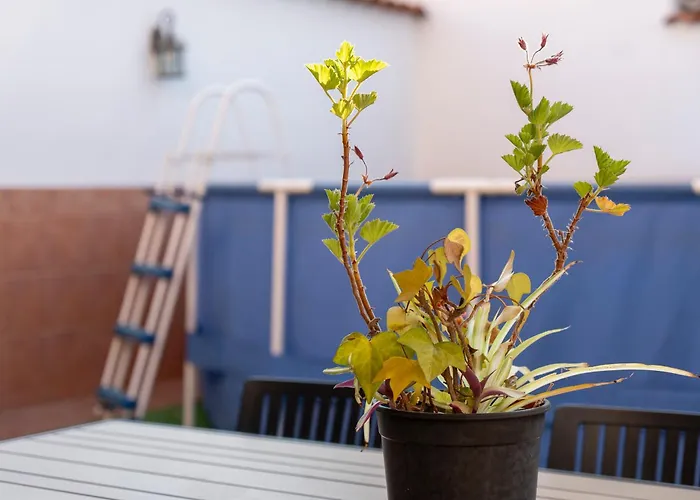 La Terrona * Zarza de Montanchez