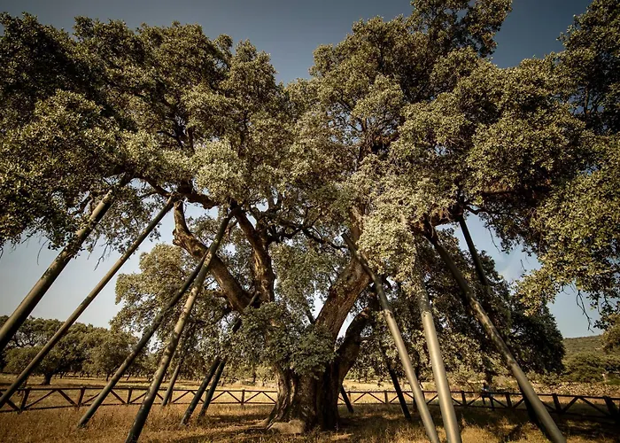 Ferienhaus La Terrona *